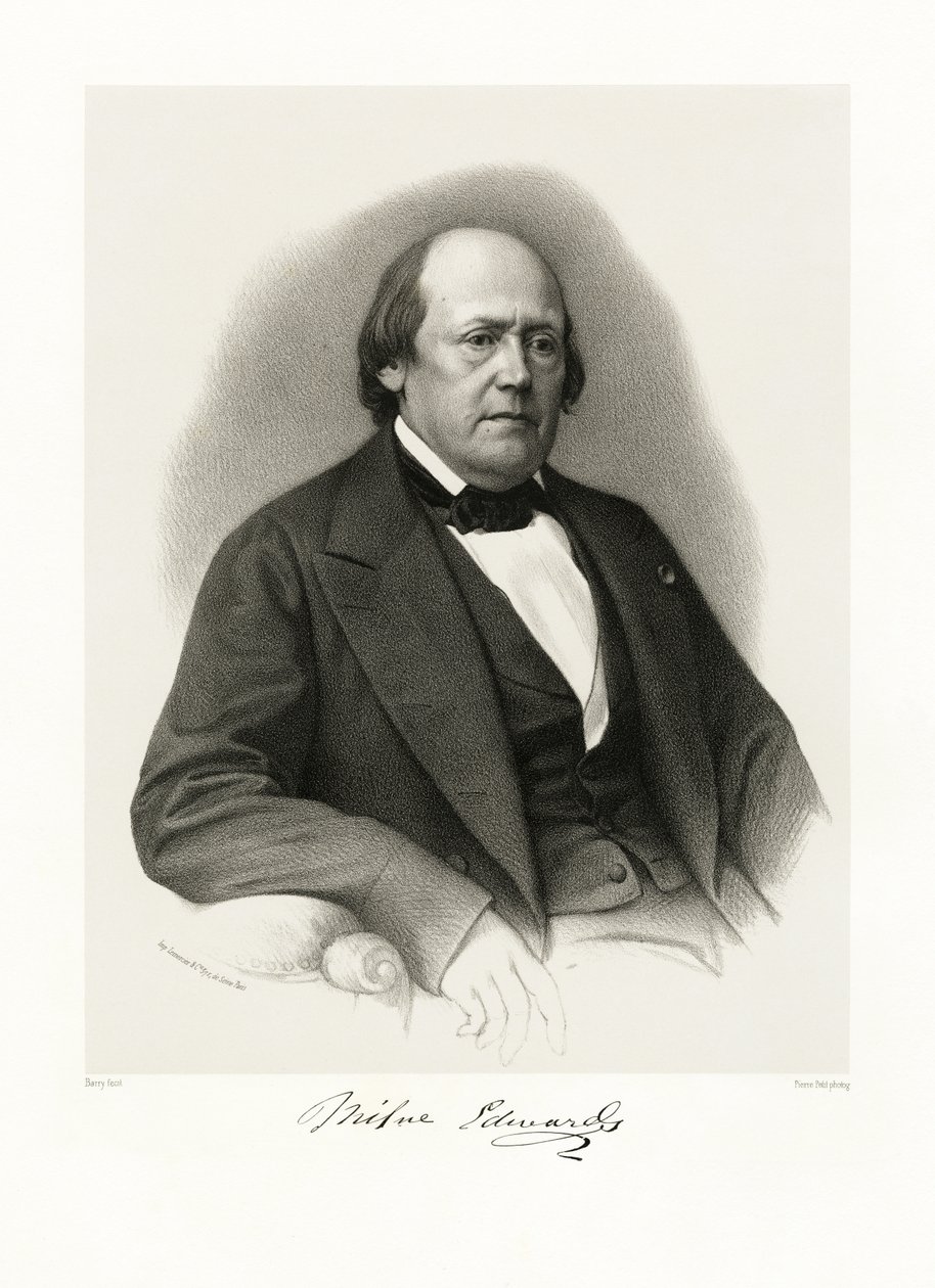 Henri Milne Edwards, 1865-66 autorstwa Barry