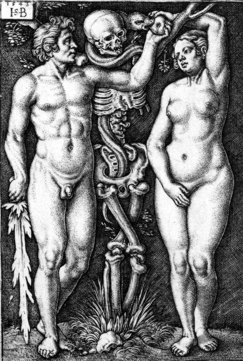 Adam i Ewa, grawerowane przez Hansa Sebalda Behama, 1543 autorstwa Barthel Beham