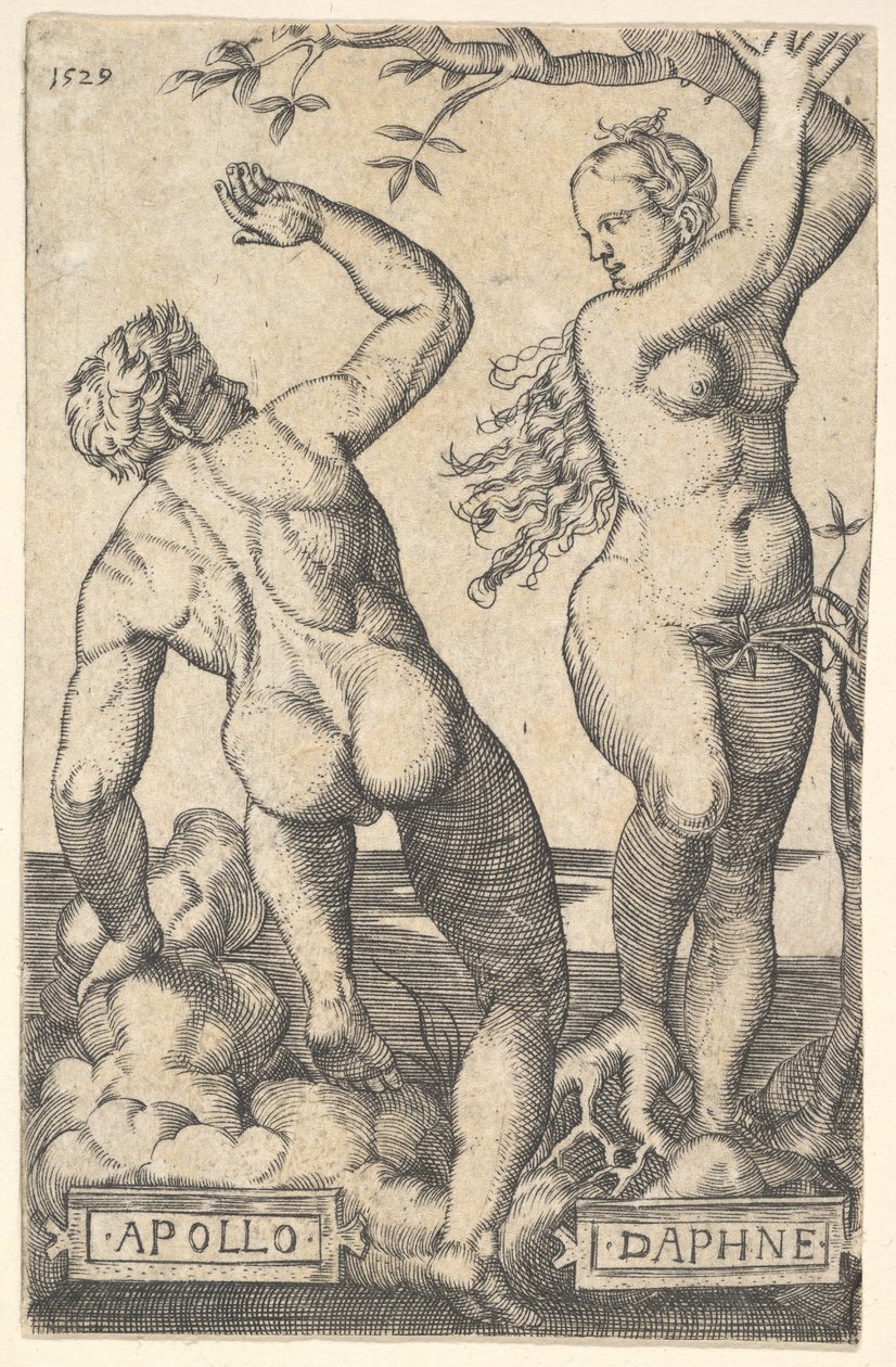 Odwrotna kopia Apollo i Daphne.n.d. autorstwa Barthel Beham