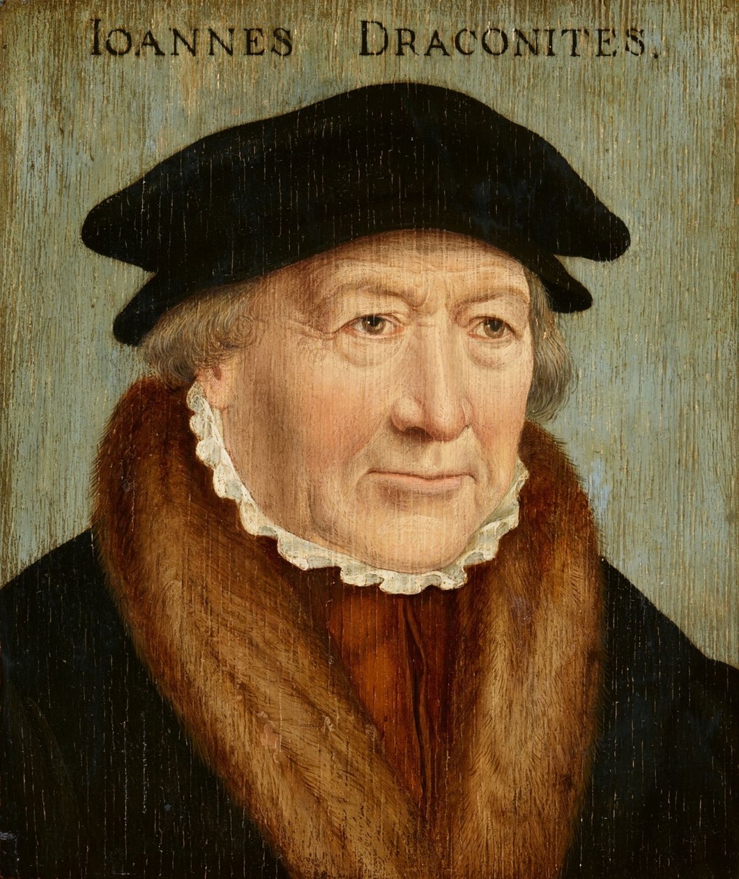 Portret Johannesa Draconitesa autorstwa Bartholomaeus Bruyn the Elder