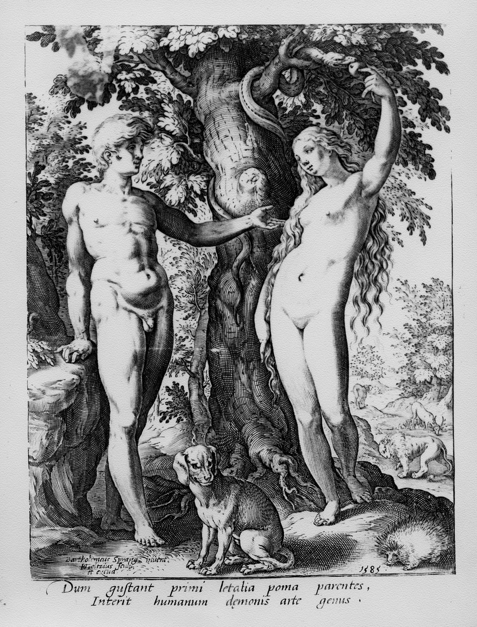 Adam i Ewa, rytowane przez Hendrika Goltziusa, 1585 autorstwa Bartholomaeus Spranger