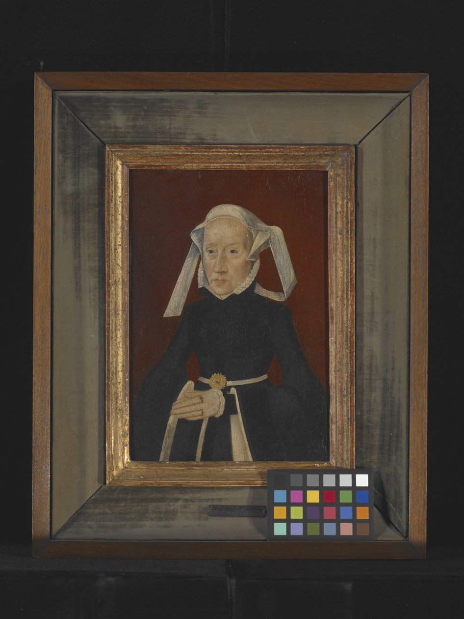 Portret Damy (olej na desce) autorstwa Bartholomaeus the Elder Bruyn