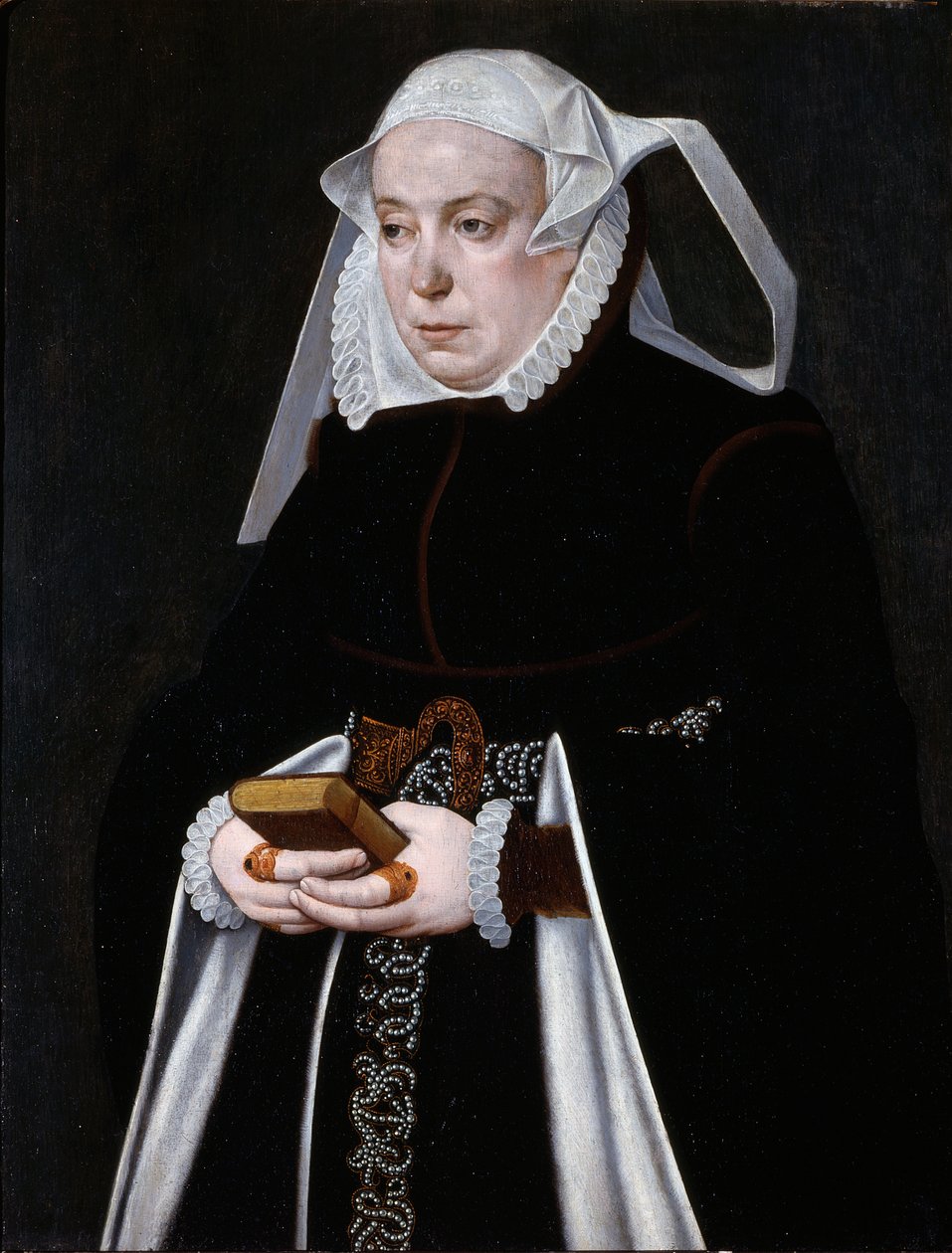 Portret kobiety, ok. 1560-70 (olej na płycie) autorstwa Bartholomaus the Younger Bruyn