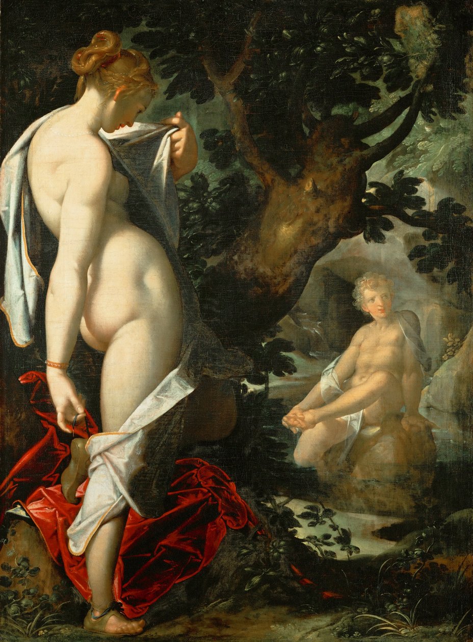 Hermaphroditus und die Nymphe Salmacis Hermaphroditus i nimfa Salmacis autorstwa Bartholomeus Spranger