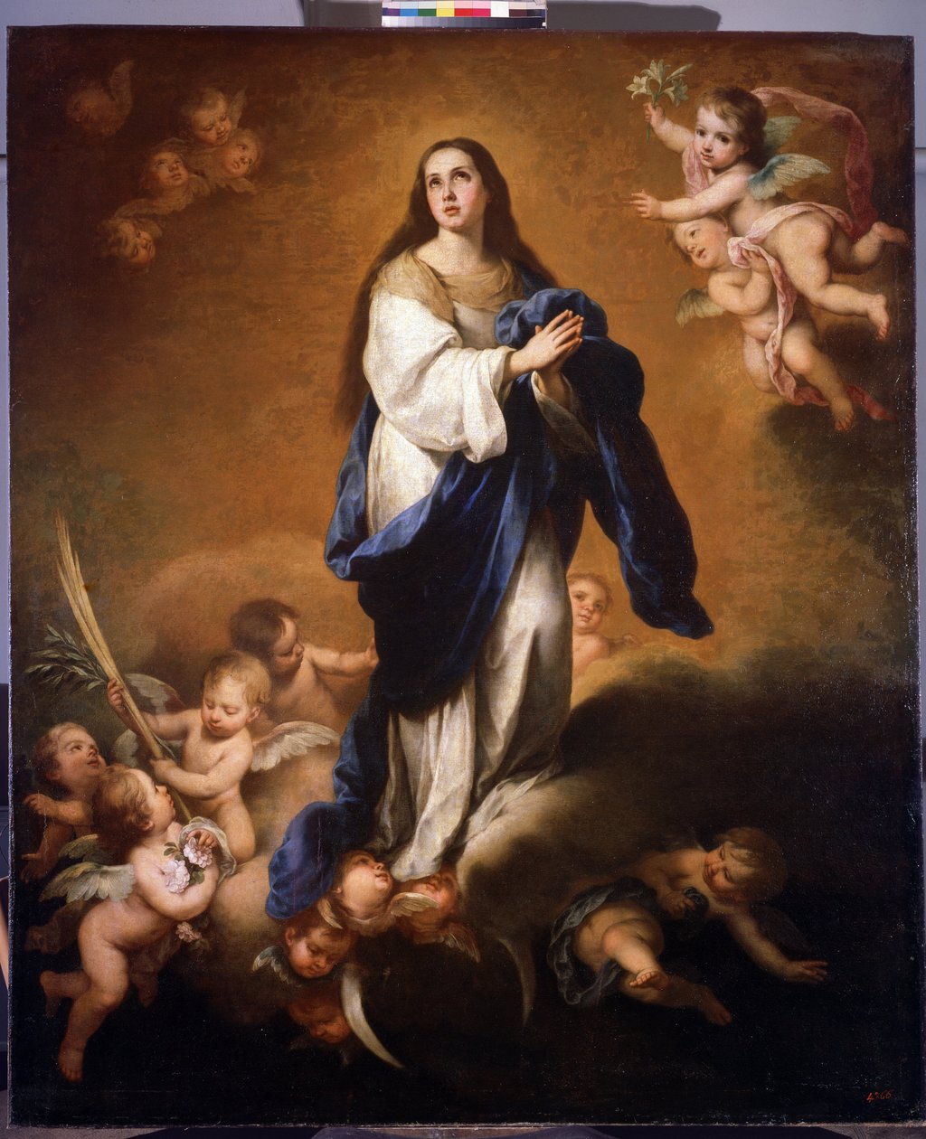 Wniebowstąpienie Najświętszej Maryi Panny (Esquilache Niepokalane Poczęcie lub Wniebowzięcie Najświętszej Maryi Panny). Obraz Bartolome Estebana Murillo (1617-1682) autorstwa Bartolomé Esteban Murillo