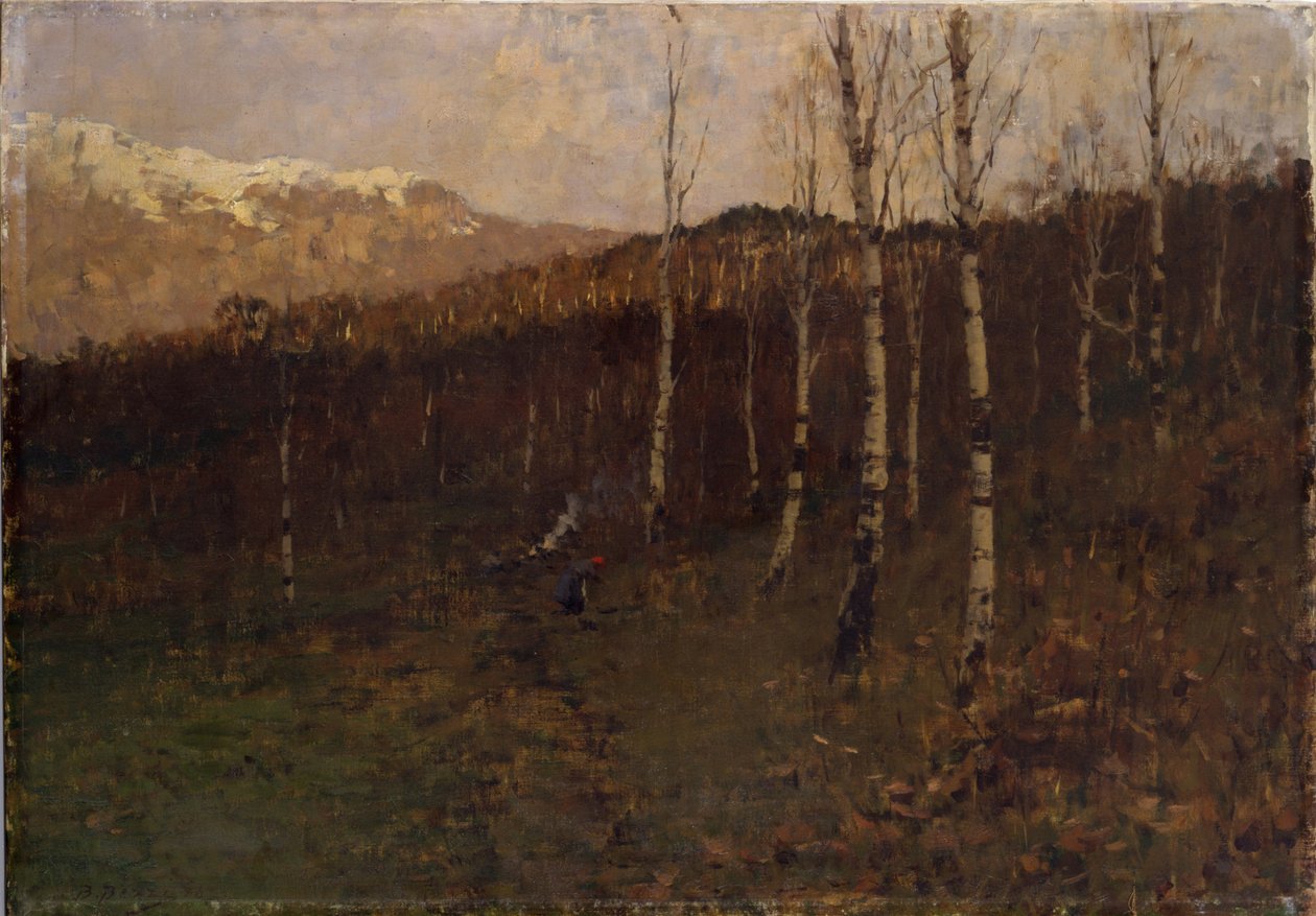 Brzozowy las zagajnikowy autorstwa Bartolomeo Bezzi