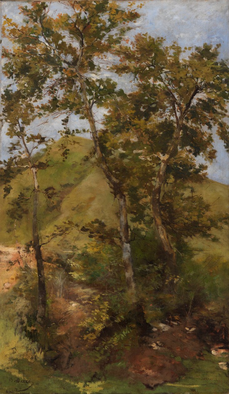 Brook Brook autorstwa Bartolomeo Bezzi