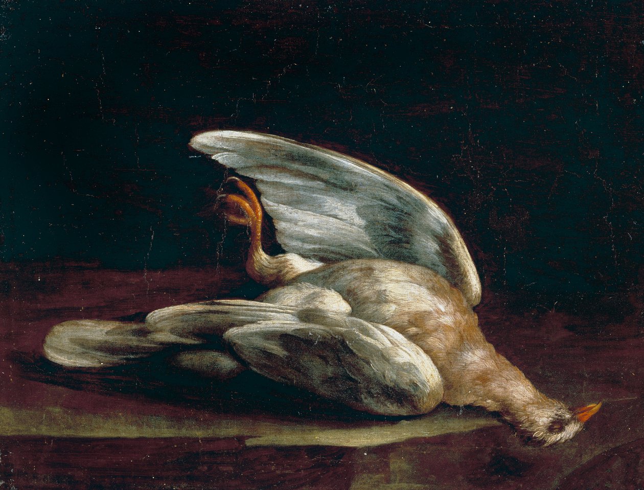 Drewniany Gołąb autorstwa Bartolomeo Bimbi