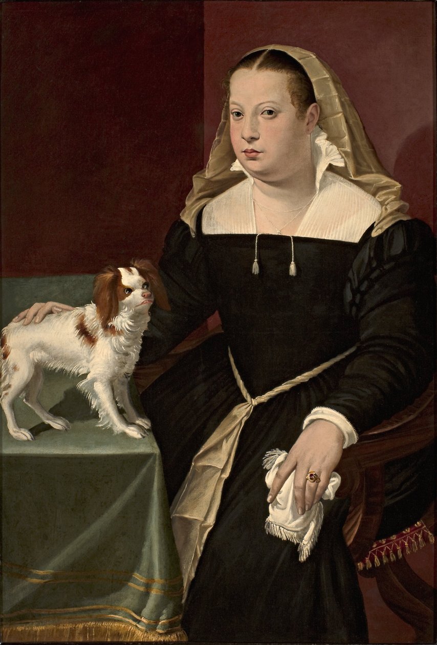 Portret damy z małym psem autorstwa Bartolomeo Passarotti