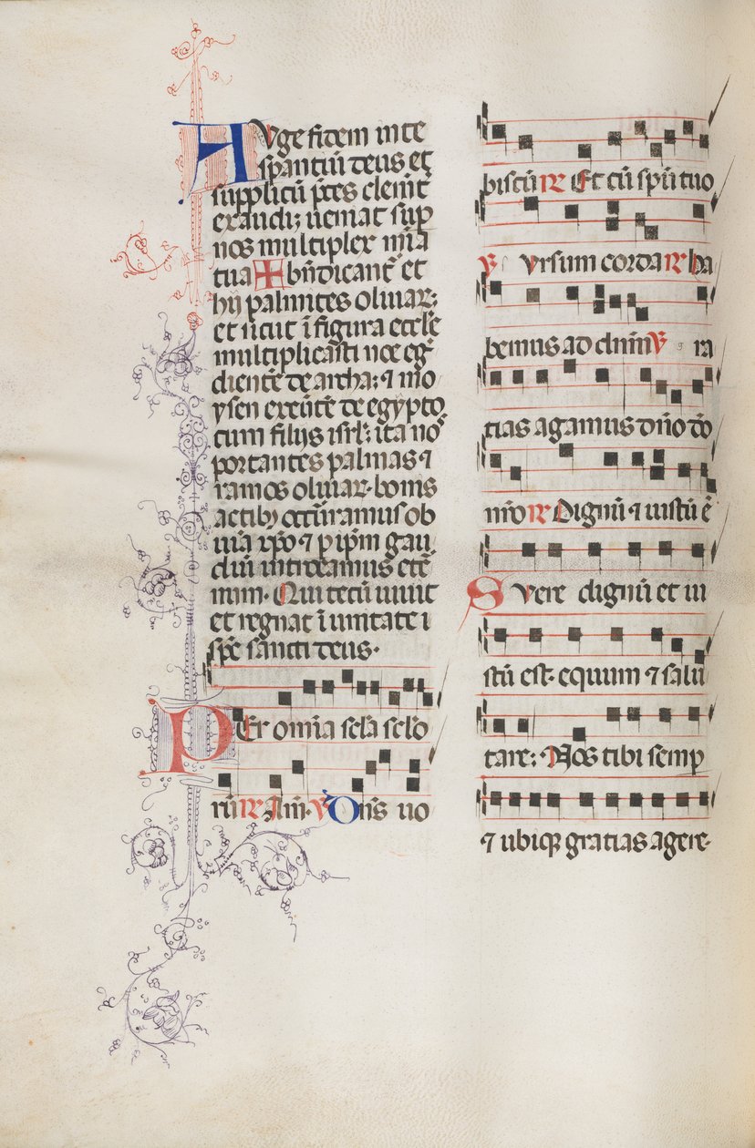 Mszał: Fl. 111v, zawiera muzykę w ramach liturgii Niedzieli Palmowej, 1469. autorstwa Bartolomeo Caporali