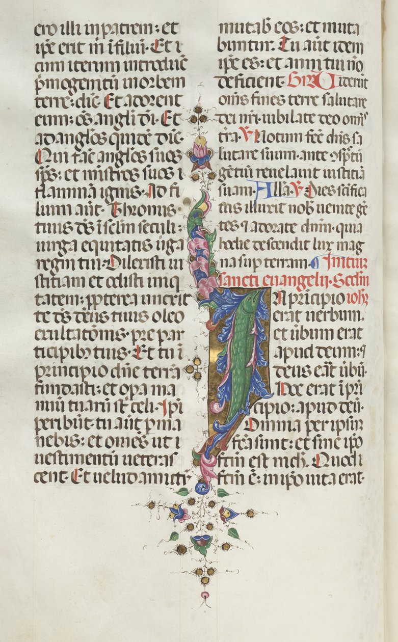 Mszał: Fl. 22v: Liście z rybami, 1469. autorstwa Bartolomeo Caporali