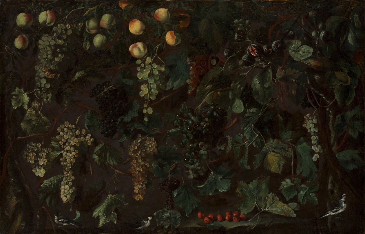 Winogrona i owoce, z trzema pliszkami, ca. 1615-18. autorstwa Bartolomeo Cavarozzi