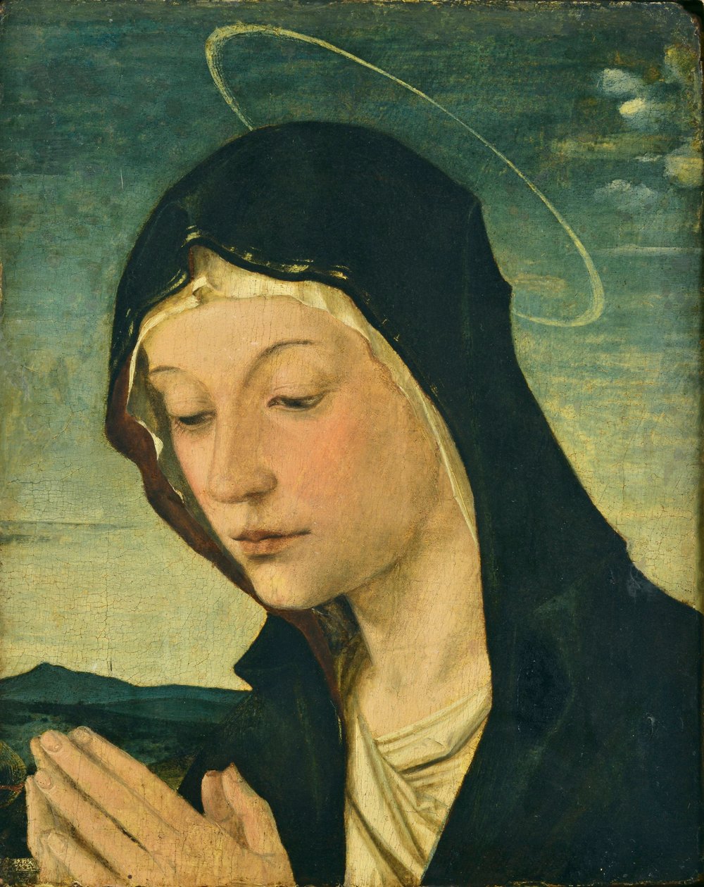 Głowa i ręce adorującej Madonny (fragment), ok. 1477-78 (tempera na drewnie topoli) autorstwa Bartolomeo Montagna