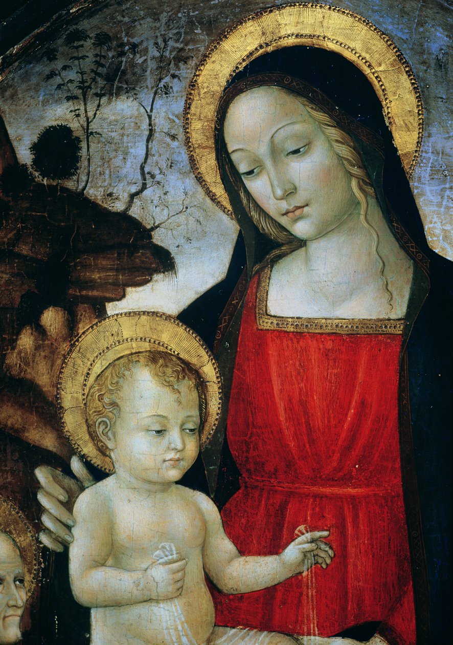 Madonna z Dzieciątkiem (detal) autorstwa Bartolomeo Montagna