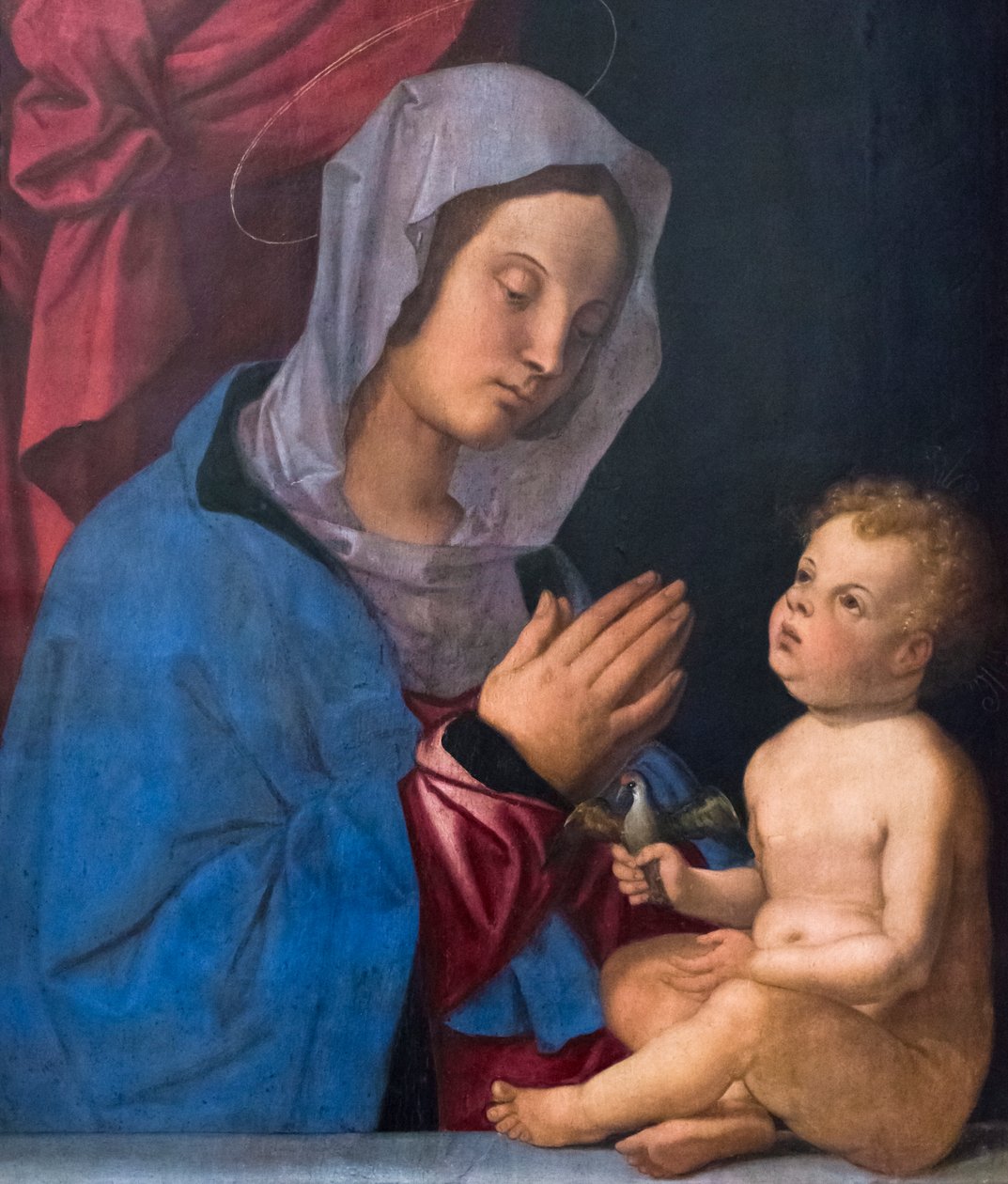 Madonna z Dzieciątkiem, ok. 1503 r. (olej na desce) autorstwa Bartolomeo Montagna