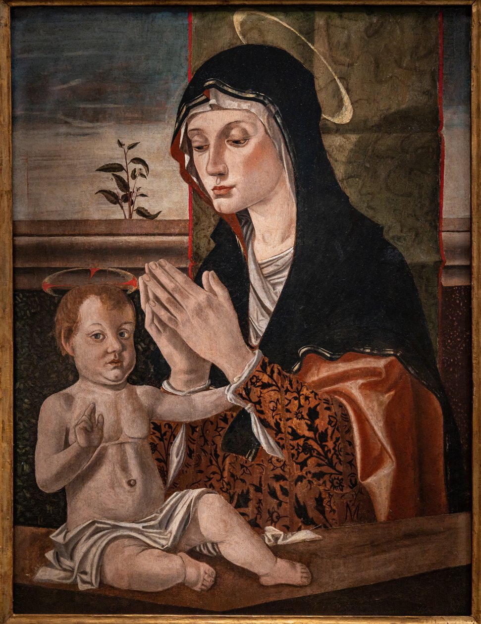 Madonna z Dzieciątkiem Jezus autorstwa Bartolomeo Montagna