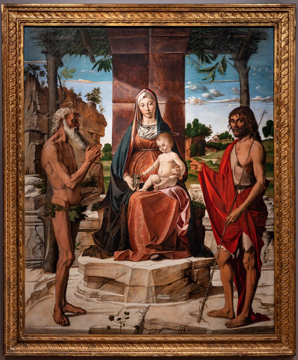 Madonna z Dzieciątkiem Jezus pod pergolą wśród świętych Jana Chrzciciela i Onufrego 1485-86 (olej na desce) autorstwa Bartolomeo Montagna