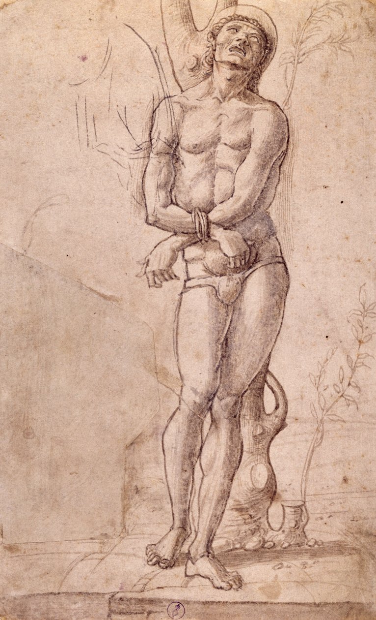 Święty Sebastian, ok. 1475, rysunek Bartolomeo Montagna (ok. 1450-1523), pióro i tusz brązowy, z brązowym praniem, cm 20x15, Włochy autorstwa Bartolomeo Montagna