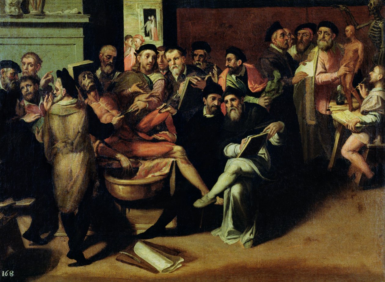 Lekcja anatomii dla artystów autorstwa Bartolomeo Passarotti