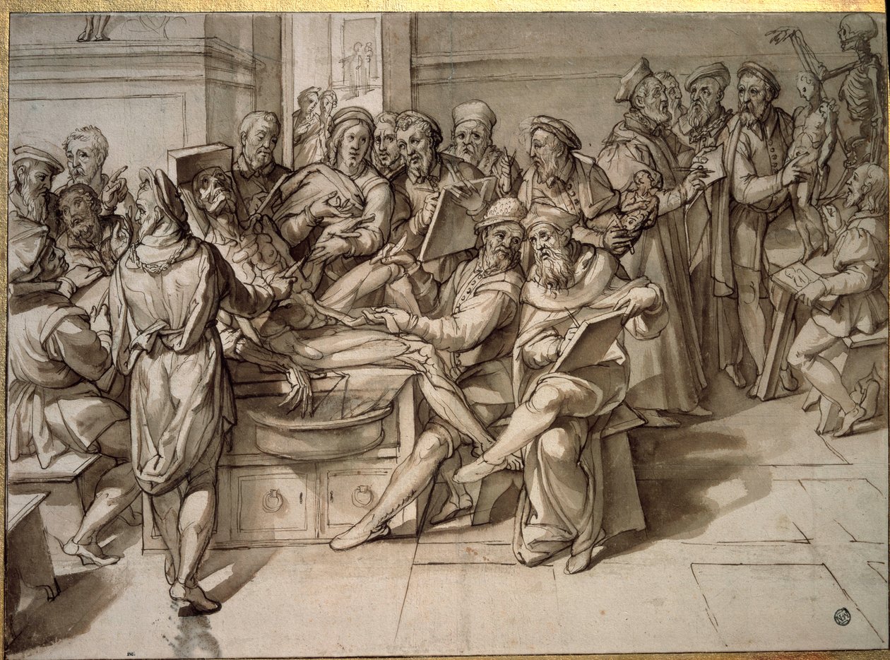 Wykład anatomii wygłoszony przez Michelangelo Buonarroti dit Michelangelo (Michelangelo lub Michel Ange autorstwa Bartolomeo Passarotti