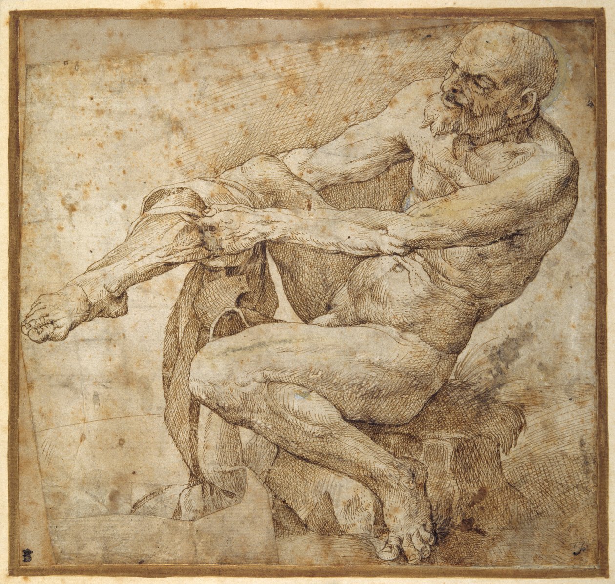Nagi mężczyzna ciągnący za wąż, po Marcantonio Raimondi i Michelangelo Buonarroti (pióro i brązowy tusz na papierze) autorstwa Bartolomeo Passarotti
