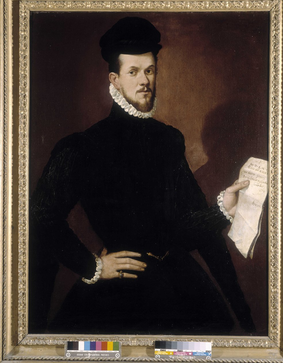 Portret mężczyzny autorstwa Bartolomeo Passarotti