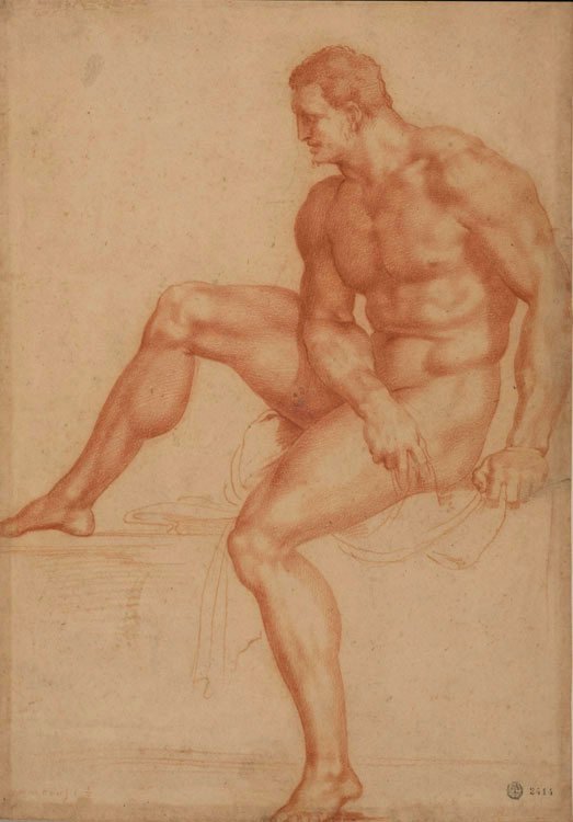 Studiuj dla Herkulesa autorstwa Bartolommeo Bandinelli