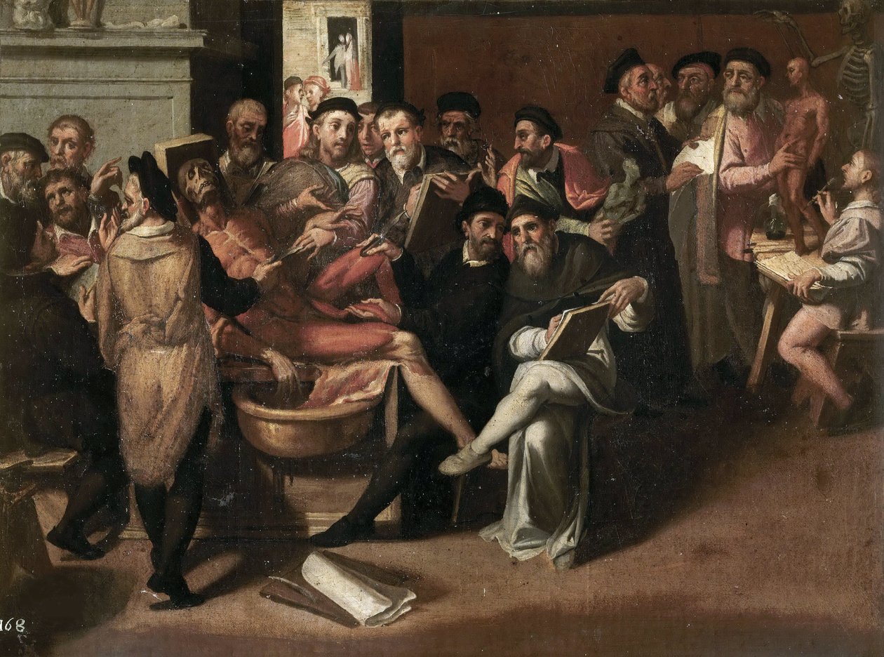 Lekcja anatomii Passerottiego, Bartolomeo (1529-1592). Olej na płótnie. Galleria Borghese, Rzym autorstwa Bartolommeo Passerotti