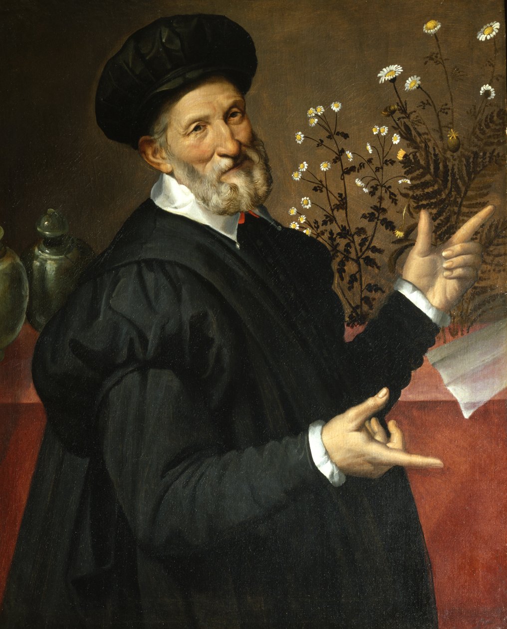 botanik autorstwa Bartolommeo Passerotti