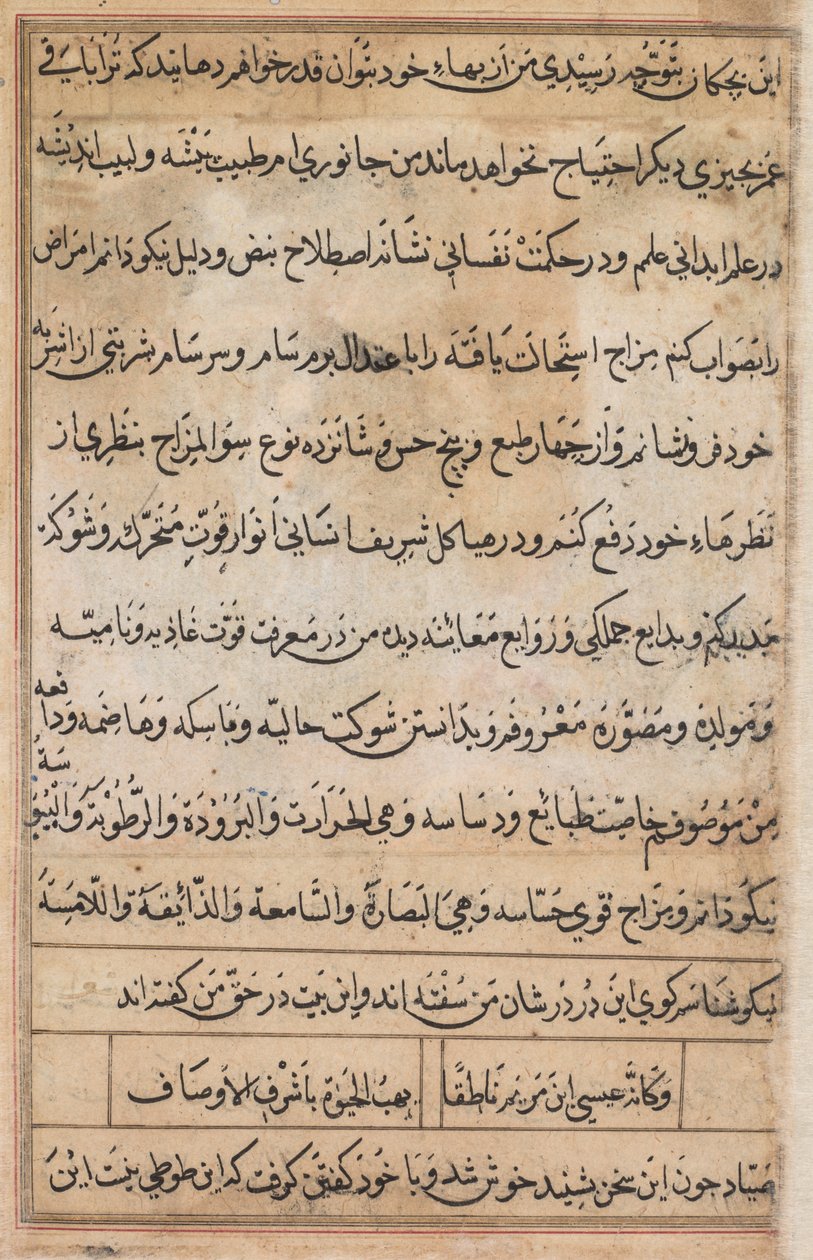 Strona z Opowieści papugi Tuti-nama: strona tekstowa, c. 1560. autorstwa Basavana