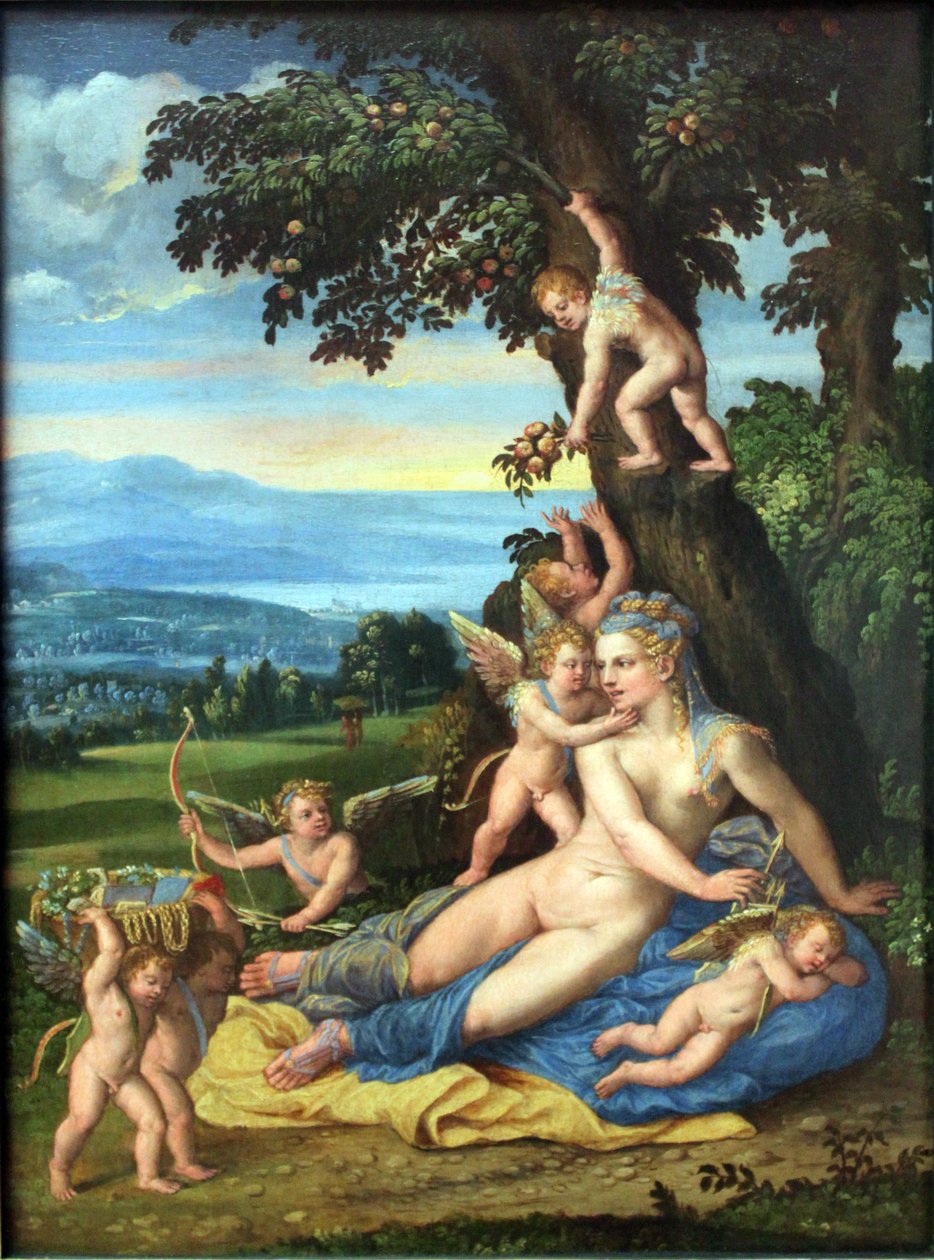 Wenus i Kupidyn autorstwa Battista Dossi