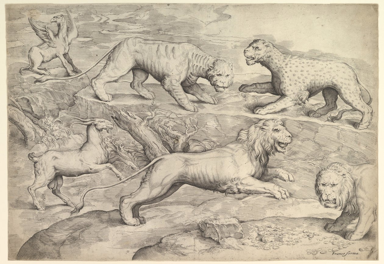 Sześć zwierząt, w tym lwy, tygrys, lampart, gryf i koza, ca. 1530-61. autorstwa Battista Franco Veneziano