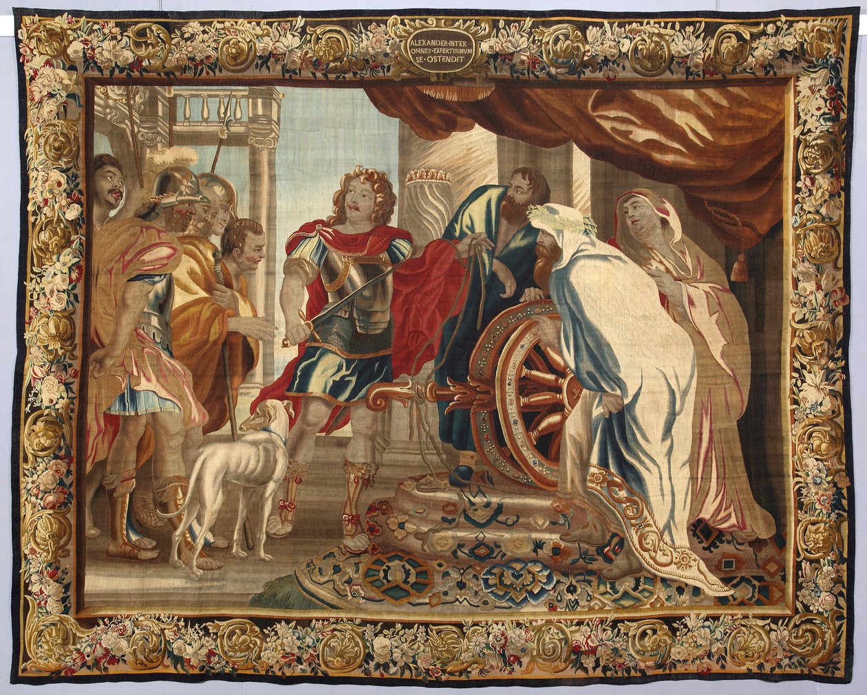 Król Aleksander Wielki przecina węzeł gordyjski. Gobelin wykonany w manufakturze w Brukseli. XVI wiek Genes, Musei di Strada Nuova autorstwa Belgian School