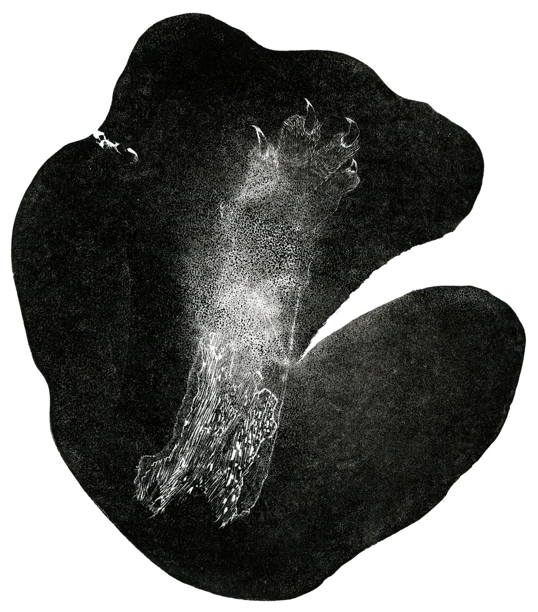 Clawfoot, 2014 (drewno na papierze) autorstwa Bella Larsson