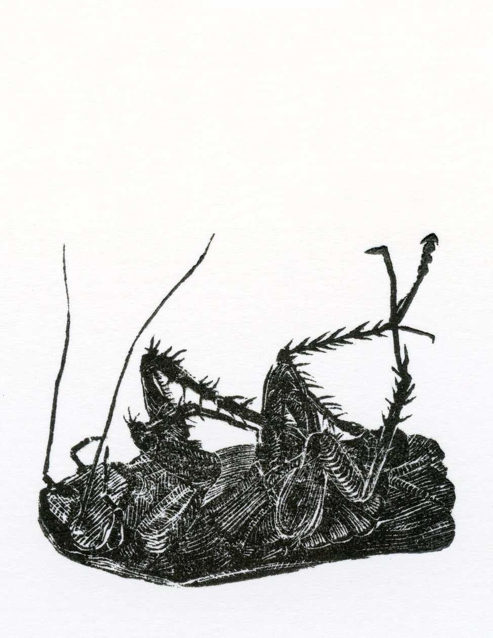 Martwy karaluch, 2014, (drewno na papierze) autorstwa Bella Larsson