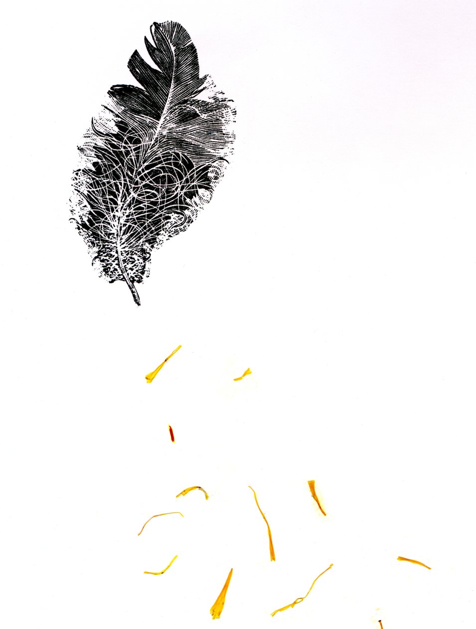 Piórko {Fay-erie Dust}, 2014 (drewnoryt i fragmenty roślin na papierze) autorstwa Bella Larsson