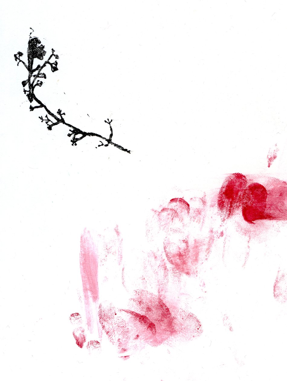 Lichen {Fay-erie Dust}, 2014 (drzeworyt i akwarela na papierze) autorstwa Bella Larsson