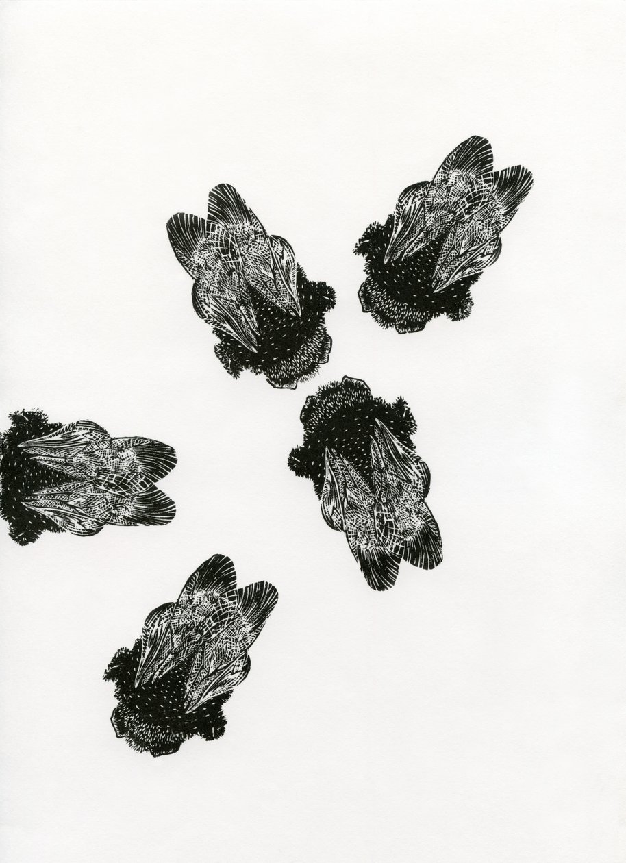 Spotkanie trzmieli, 2013 (drewno na papierze) autorstwa Bella Larsson