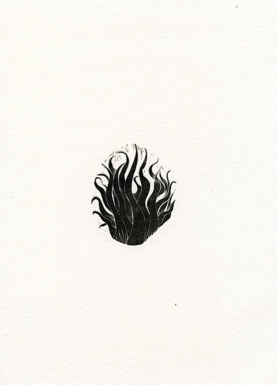 Ogień, 2017, (drewno na papierze) autorstwa Bella Larsson