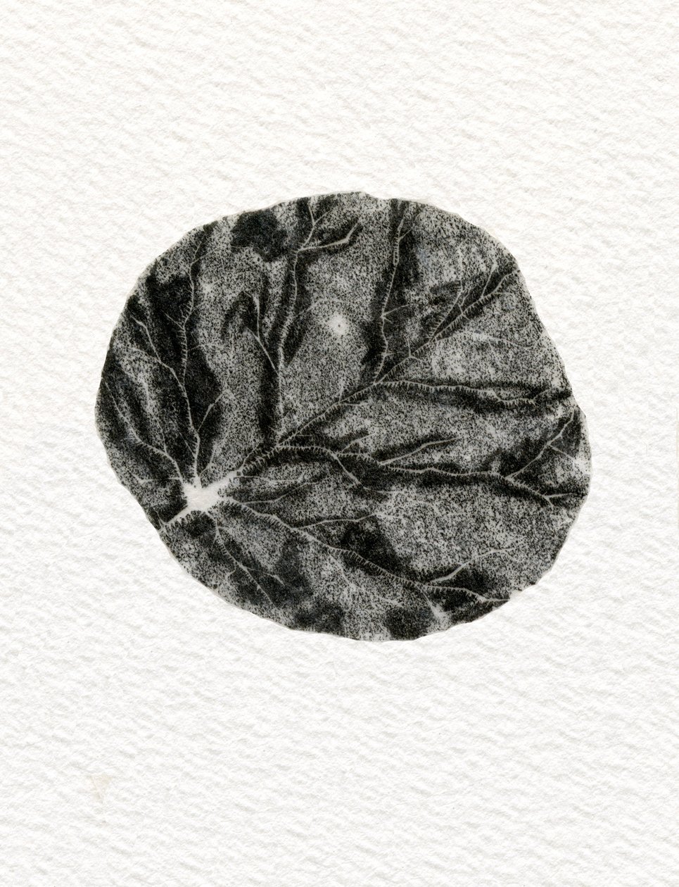 Liść, 2014, (drewno na papierze) autorstwa Bella Larsson