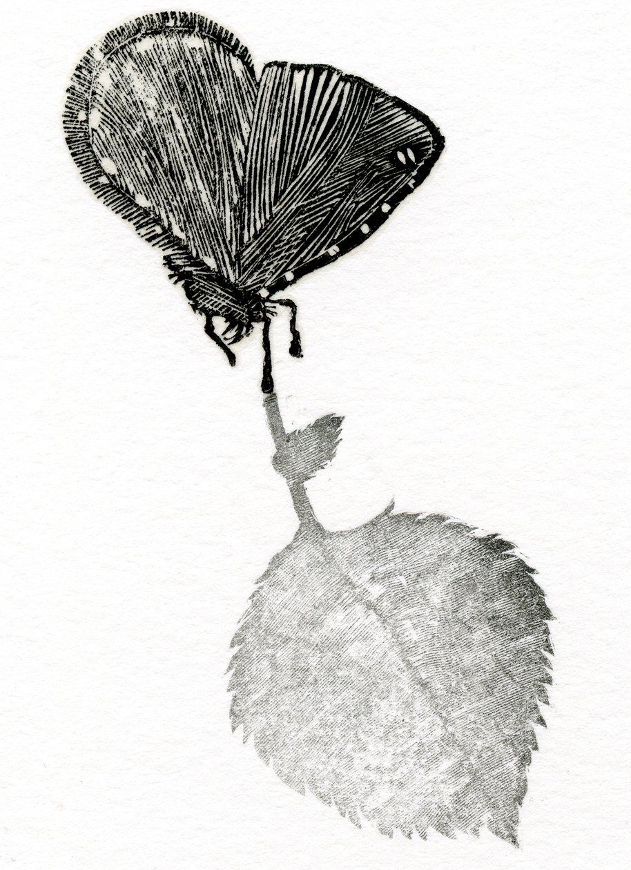 Suspense, 2014 (Drewno grawer, kolaż na papierze) autorstwa Bella Larsson