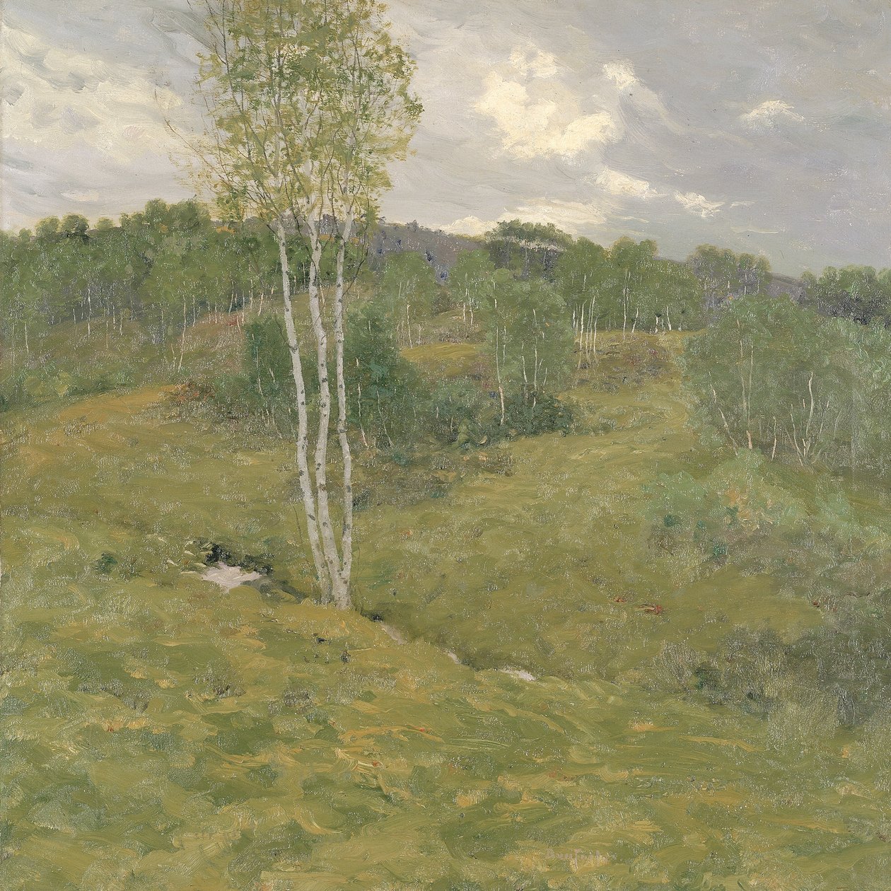 Brzozowe Wzgórza, ca. 1908. autorstwa Ben Foster