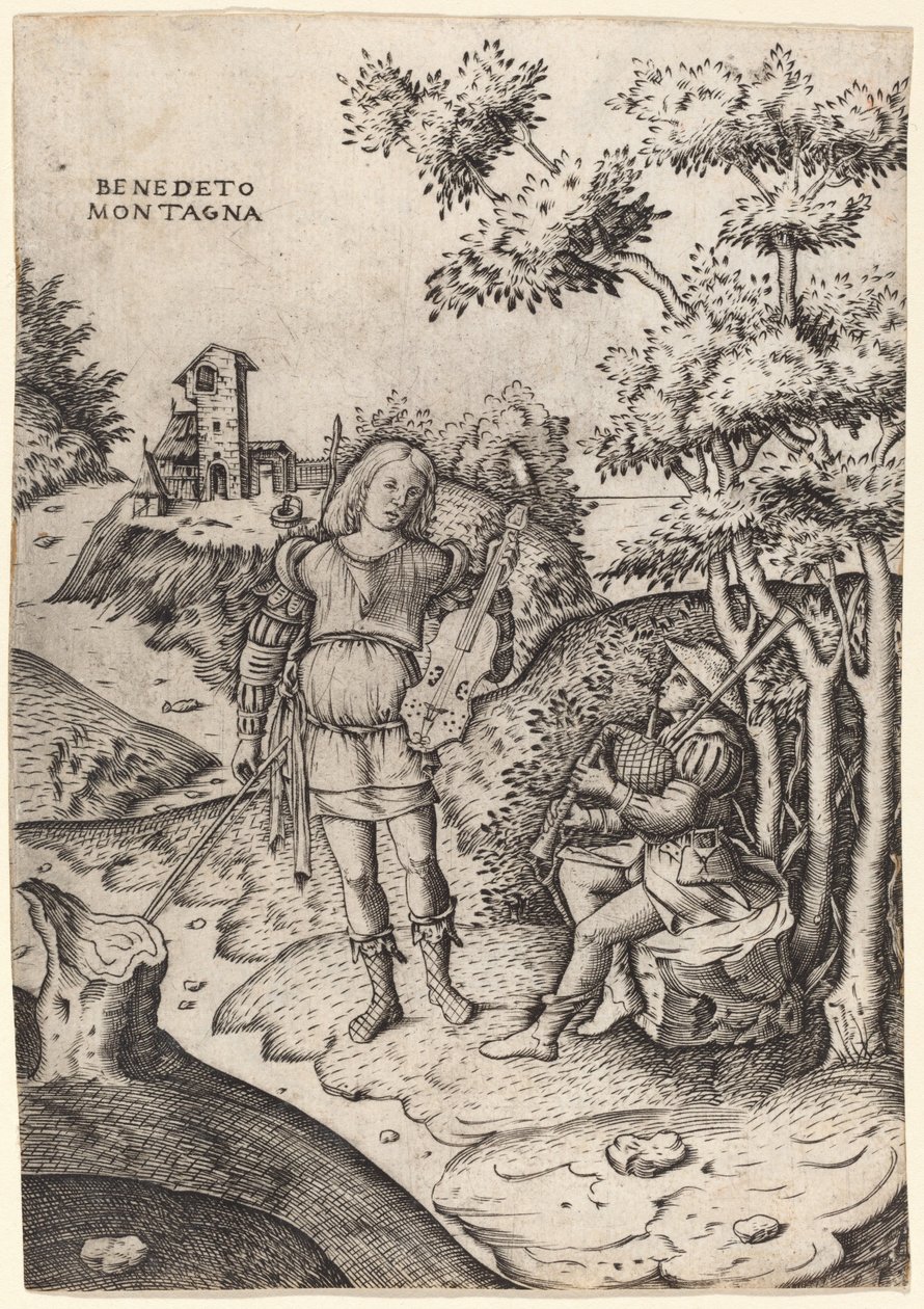 Apollo and Marsyas   1251075   pl       polish Successfully Translated  Original: Harmful insects: butterflies and moths that damage pine trees, 1897 Translat: Harmful insects: butterflies and moths that damage pine trees, 1897 1204161 pl polish Successful autorstwa Benedetto Montagna
