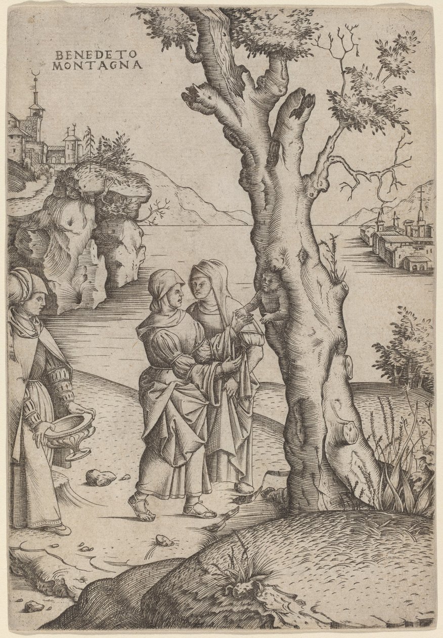 Narodziny Adonisa autorstwa Benedetto Montagna