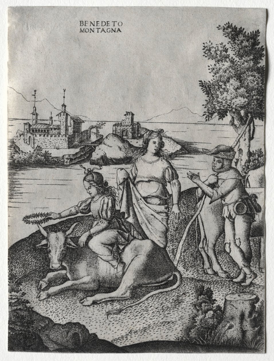 Gwałt Europy, ok. 1515-1520. autorstwa Benedetto Montagna