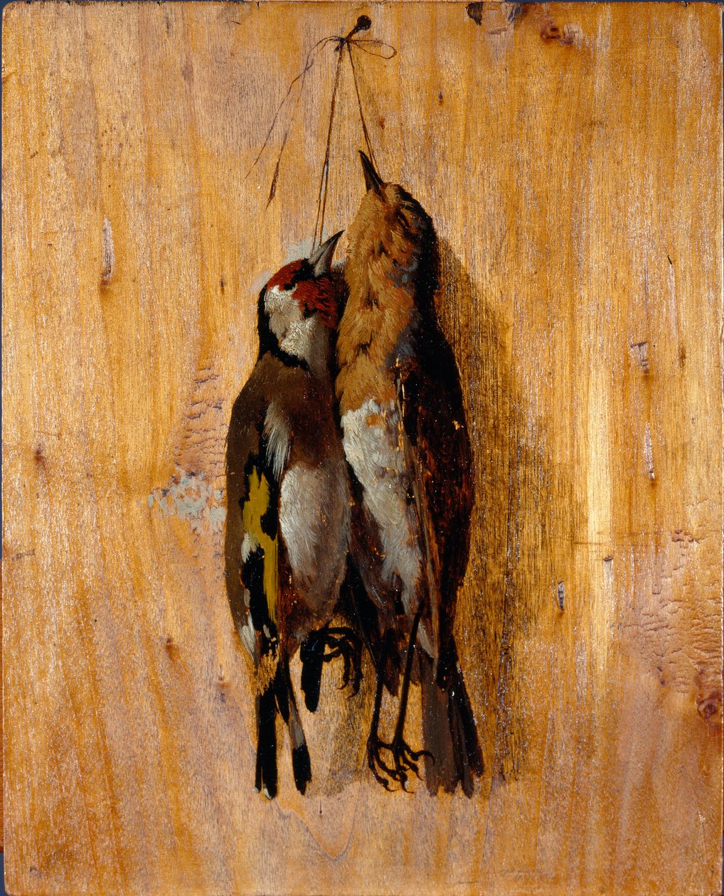 Studium po przyrodzie Dwie szpilki martwego ptaka na ścianie. Obraz Benedetto Musso (1835-1883) 1864 około Sun. 20,5x16,5 cm geny, Galleria d