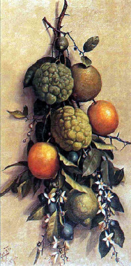 Owoce portugalskie: Frutas autorstwa Benedito Calixto