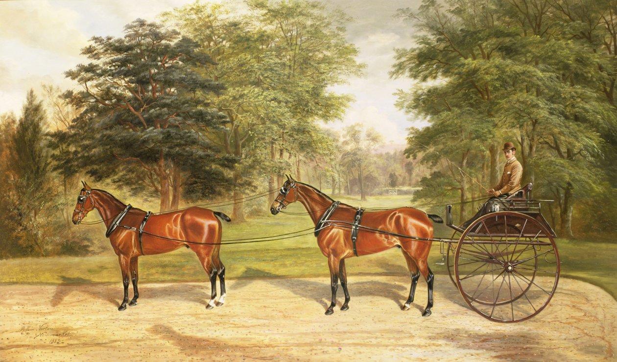Dwa konie, zaprzężone w tandemie, ciągnące powóz, 1883 autorstwa Benjamin Cam Norton