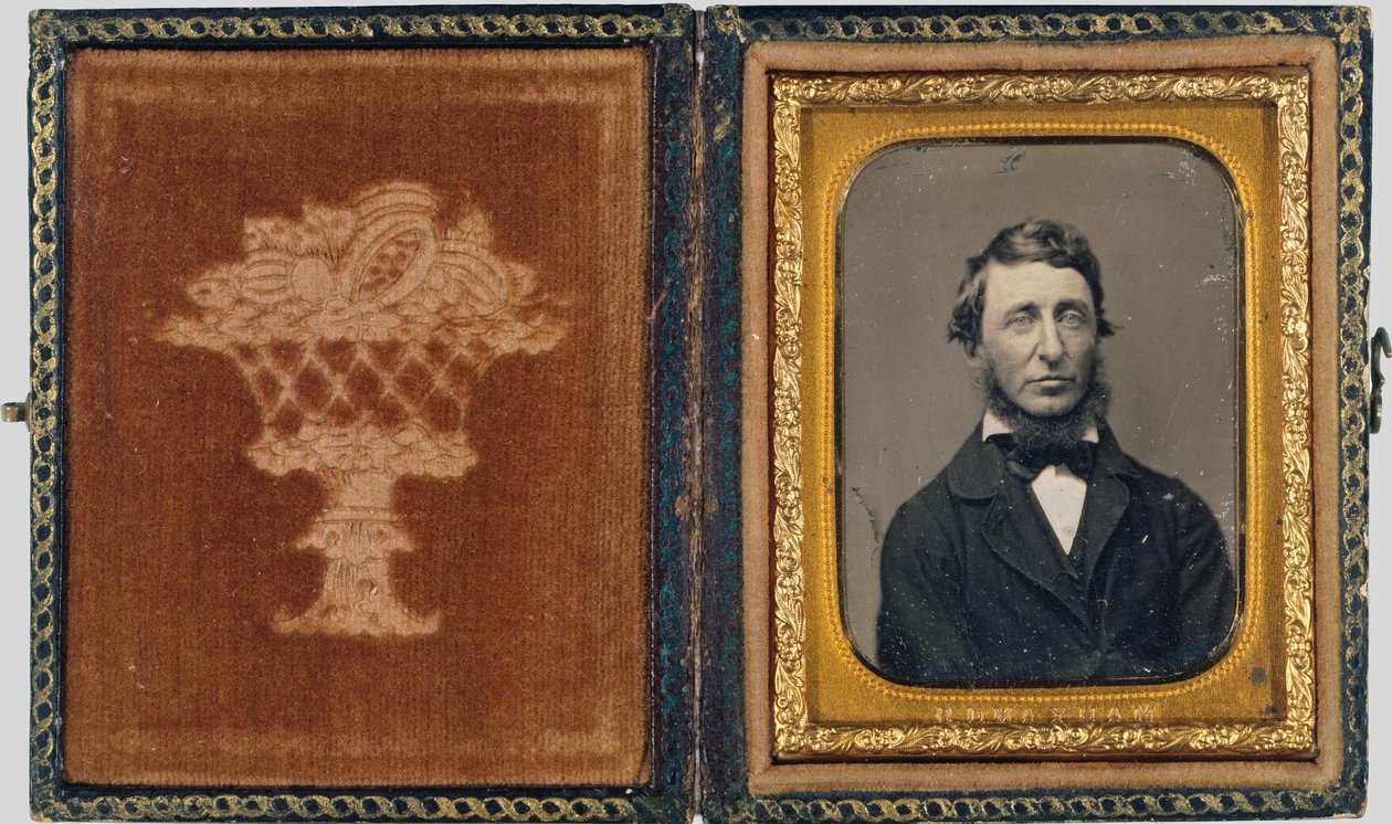 Henry David Thoreau autorstwa Benjamin D. Maxham