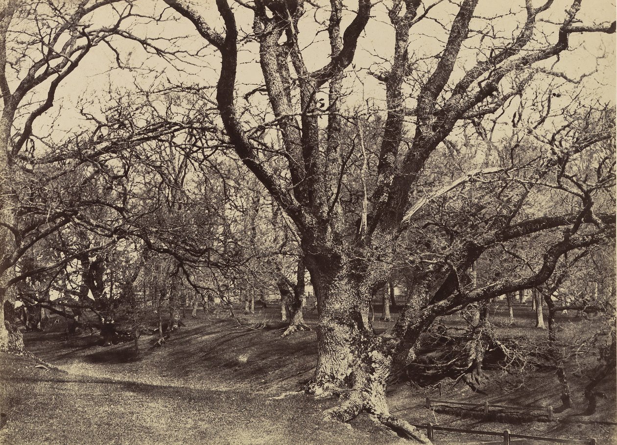 Pepperharrow Park, Surrey, 1852-54. autorstwa Benjamin Brecknell Turner